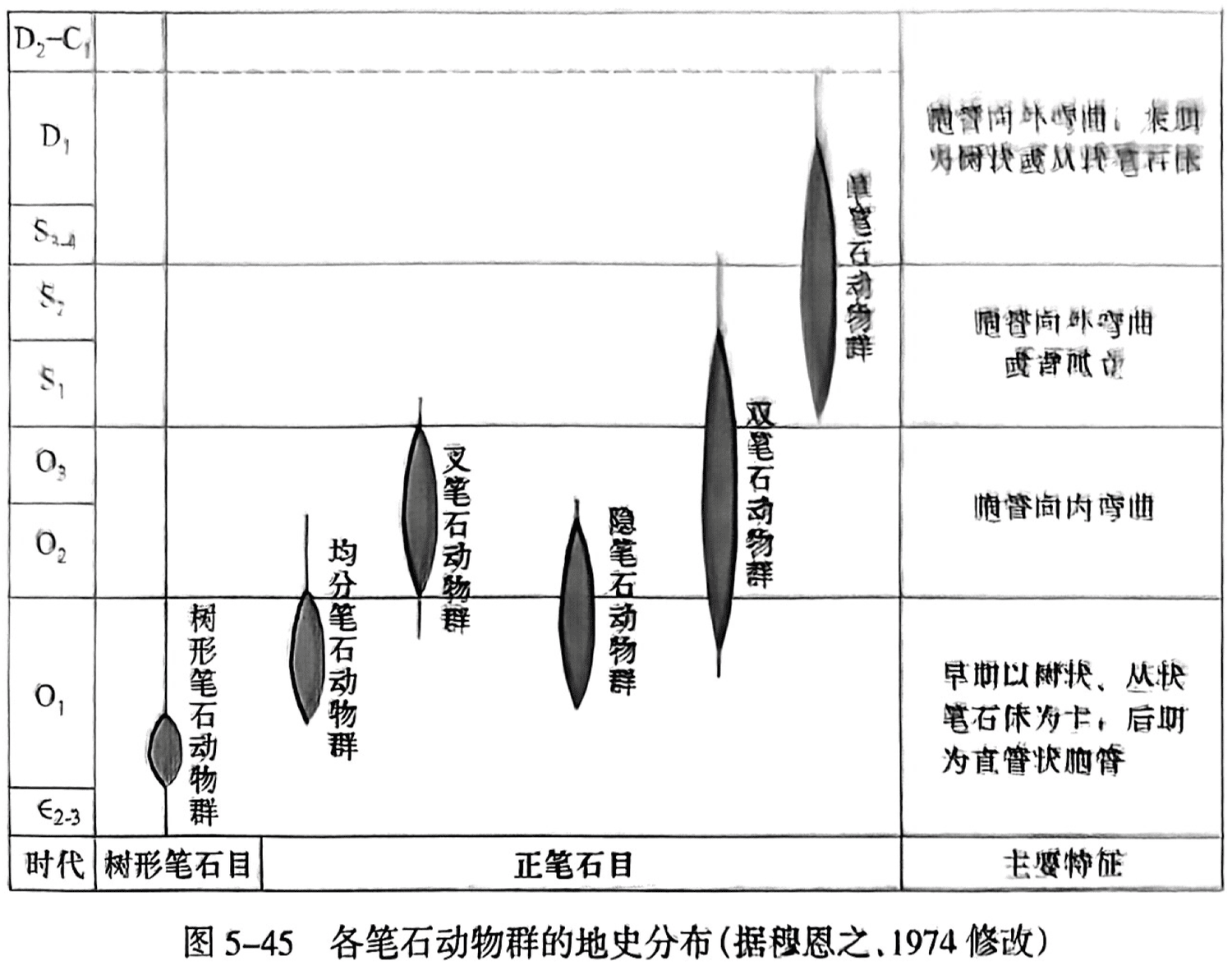 图5-45 各笔石动物群的地史分布(据穆恩之,1974修改)