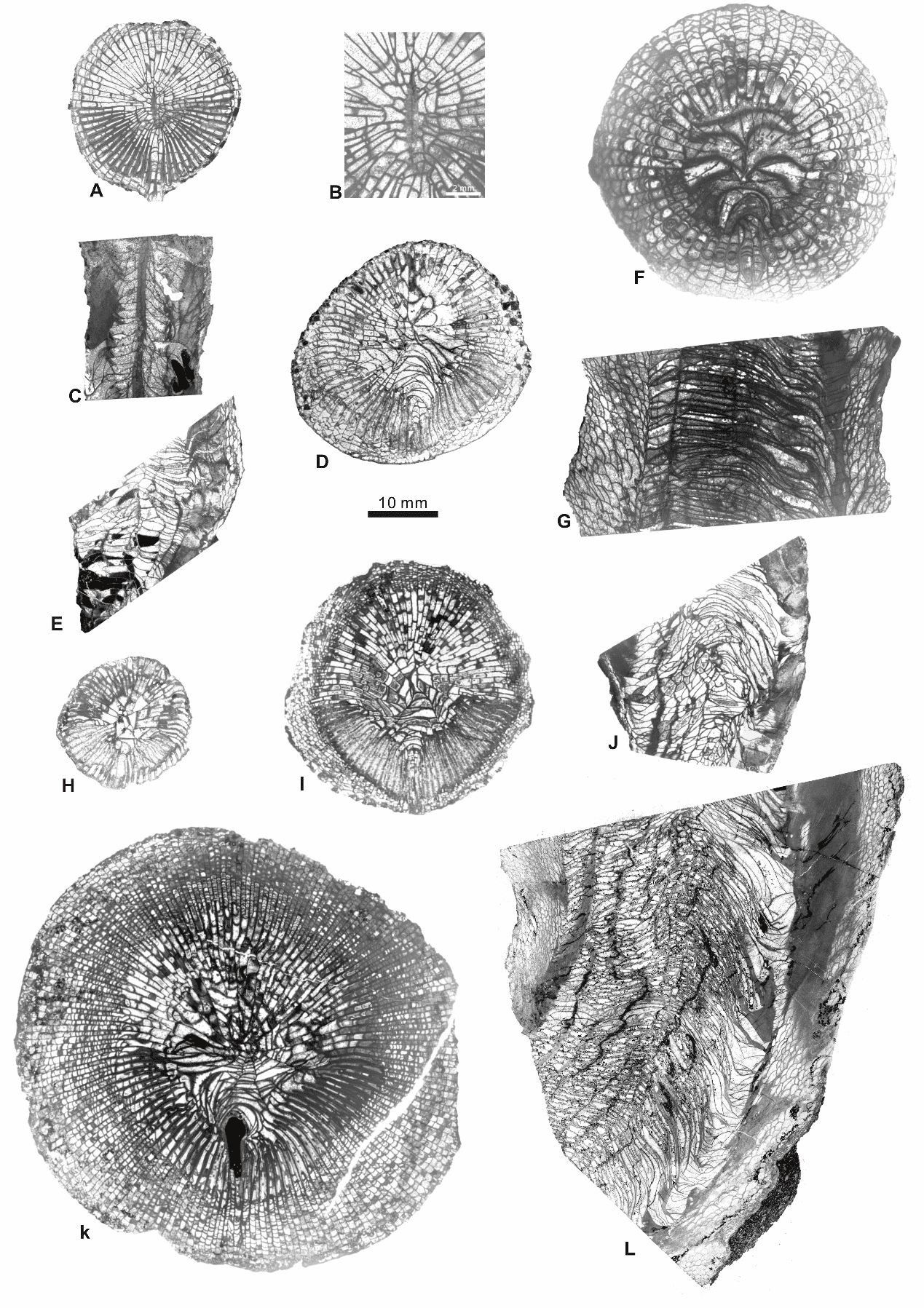 =342x484 1746759470739-17c7448c-5e3e-4ffc-9285-d6ffef97893d.png