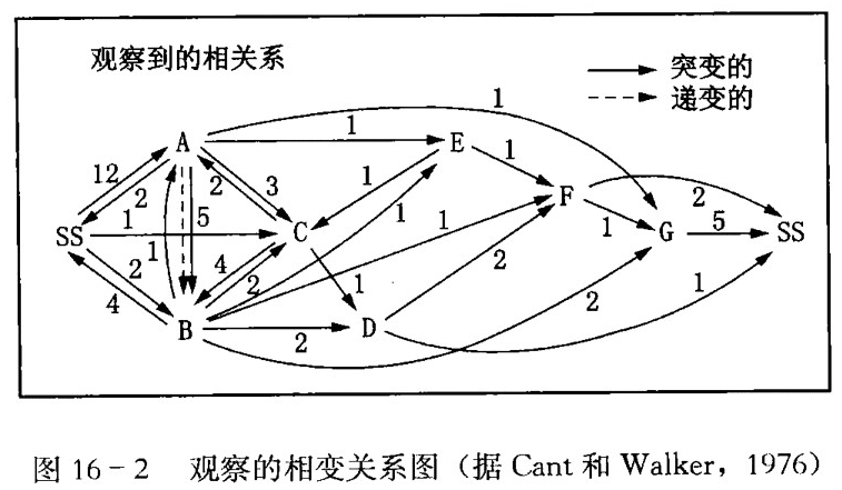 SS——冲刷面； A—很不清楚的槽状交错层理卵石质粗砂岩；  B—很清楚的槽状交错层理粗砂岩； C——大型板状交错层理厚层砂岩；  D——小型板状交错层理薄层砂岩； E—孤立冲刷的交错层砂岩；  F——槽形交错纹层细砂岩；G一低角度层理砂岩