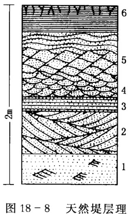 图18-8 天然堤层理构造垂向序列 (据柯尔曼, 1969) 1—无内部构造的砂和粉砂,分选差,偶有波状层理; 2—大型交错层理;3—水平层理; 4—小型波状交错层理; 5—上攀交错层理;6—具虫孔和水平层里的粉砂质粘土岩中的泥裂和干缩裂缝
